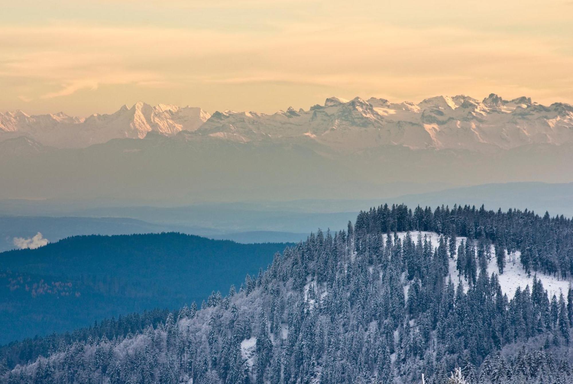 RinkenResidenz Grafenmatt "Abendsonne", Feldberg公寓 外观 照片
